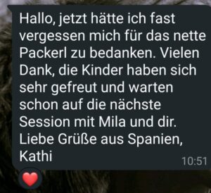 Geschwister Hundeangst