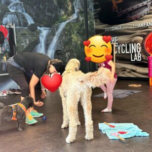 Ferienspaß mit Hund