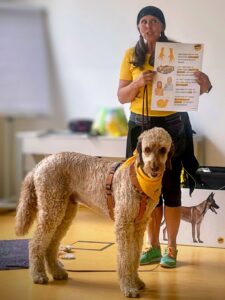 WSA Ferienspaß