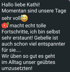 Begleitung Familie