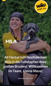 als Wau statt Au Team