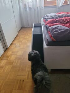 Rampe ins Bett